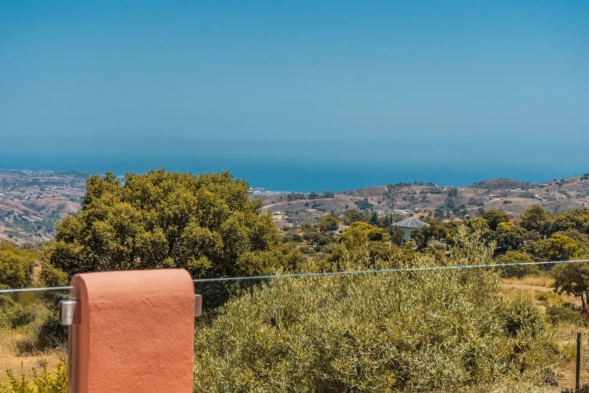 2861cfab-481c-441d-9eea-e1372892666b