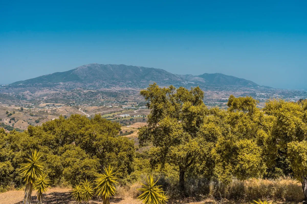 a61890a4-65ec-4058-97a3-7ddb35f2a984