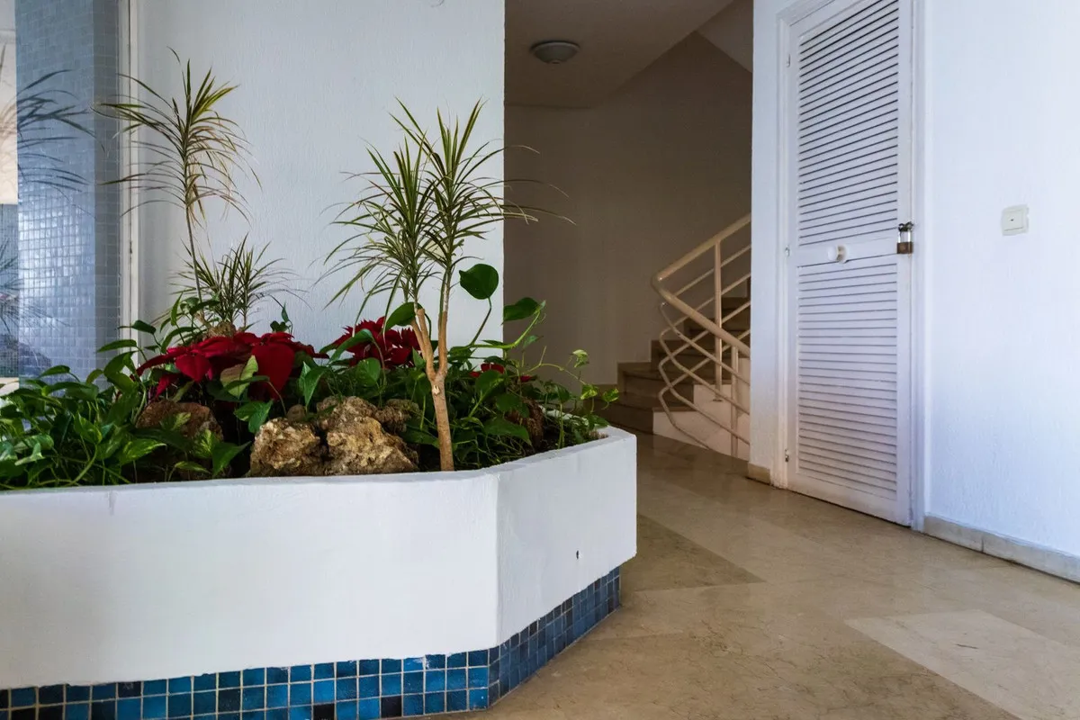 09ac649b-d2b3-4708-beff-6b7d1895fce8