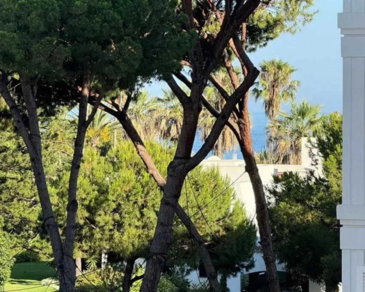 c795bc99-4be2-4b10-b4d0-9346440e5c0b