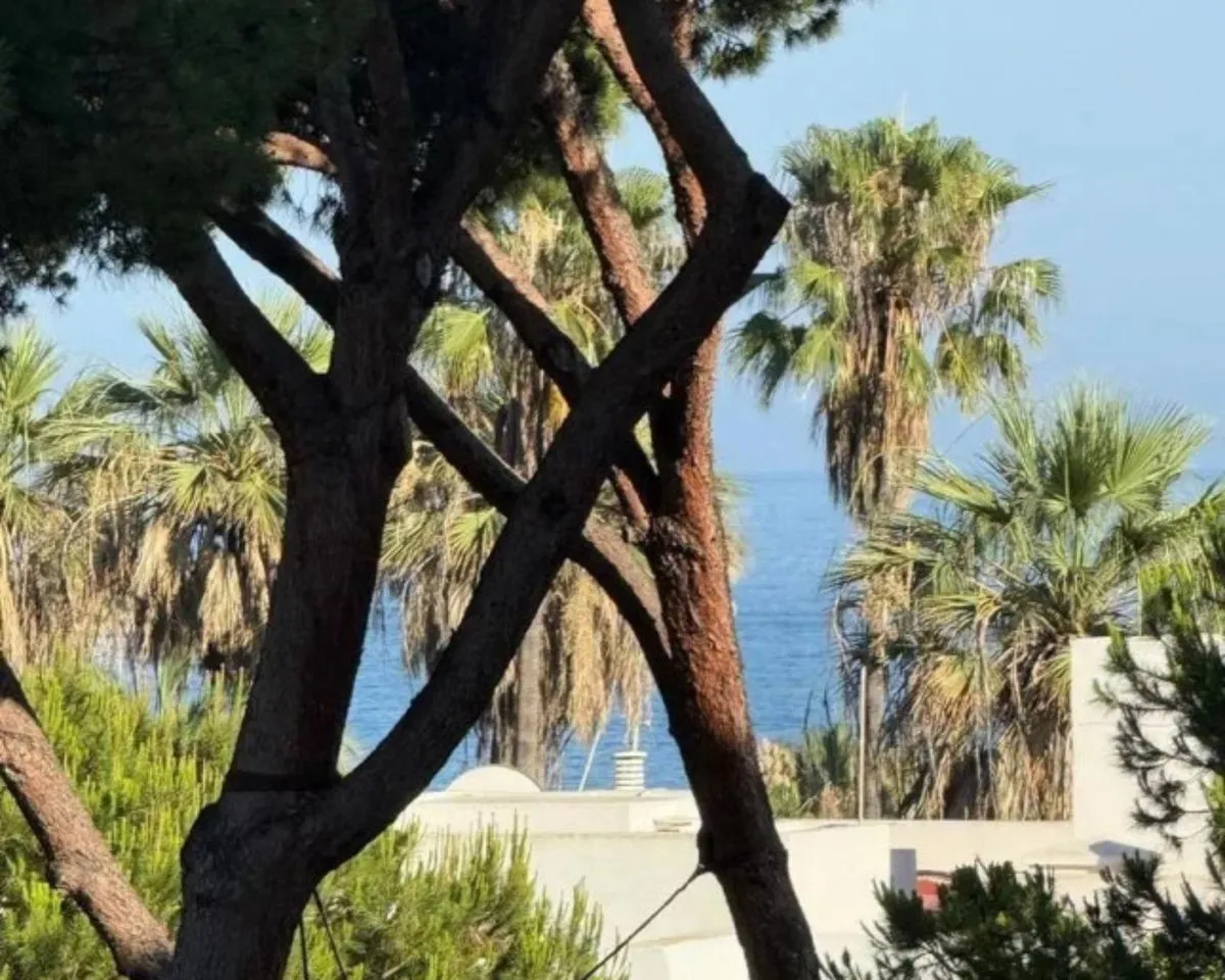 ddc4f016-61bc-4784-8c9c-1ab3be124c13