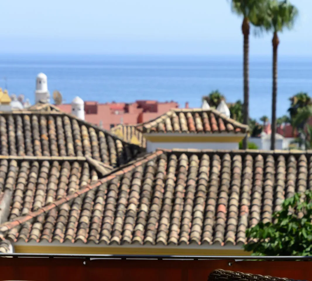 88907384-9e4d-4b4a-b32b-5f6bf70e0d06