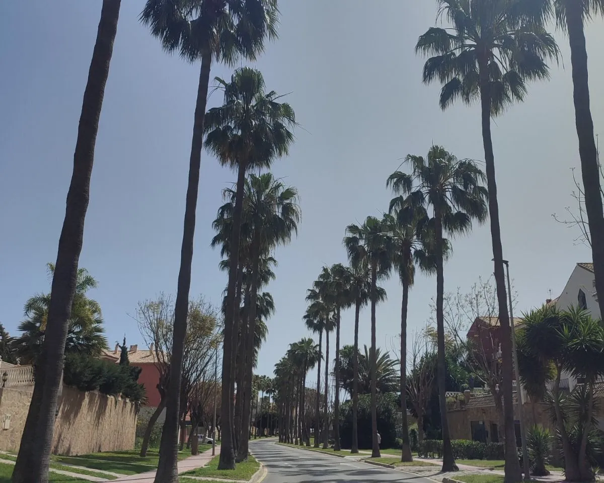 2ab6d7a0-af62-4502-a58f-e6cf5cf0ec4a