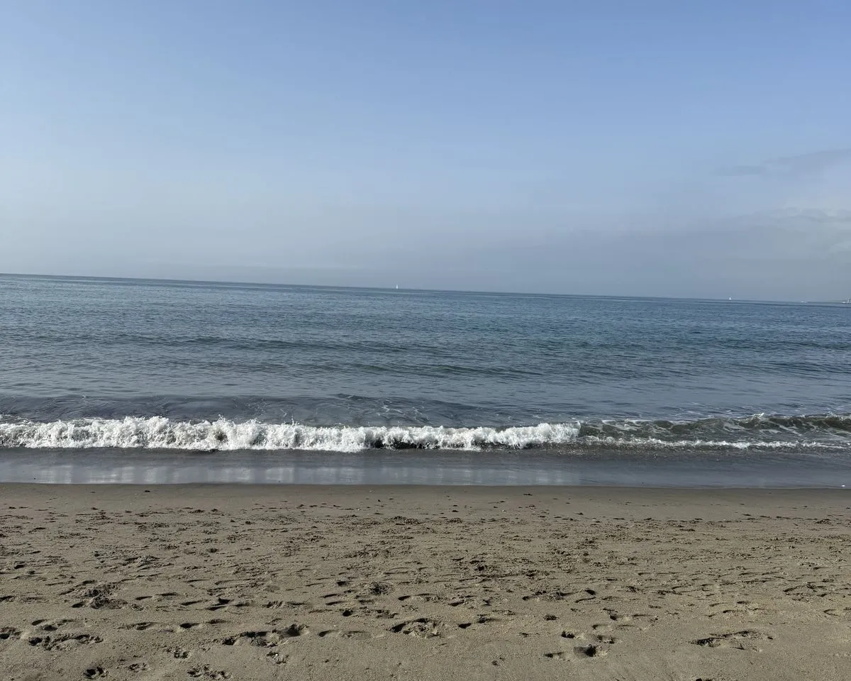 cd4fc77d-7ab6-4a31-85cc-e09f45ad9abd