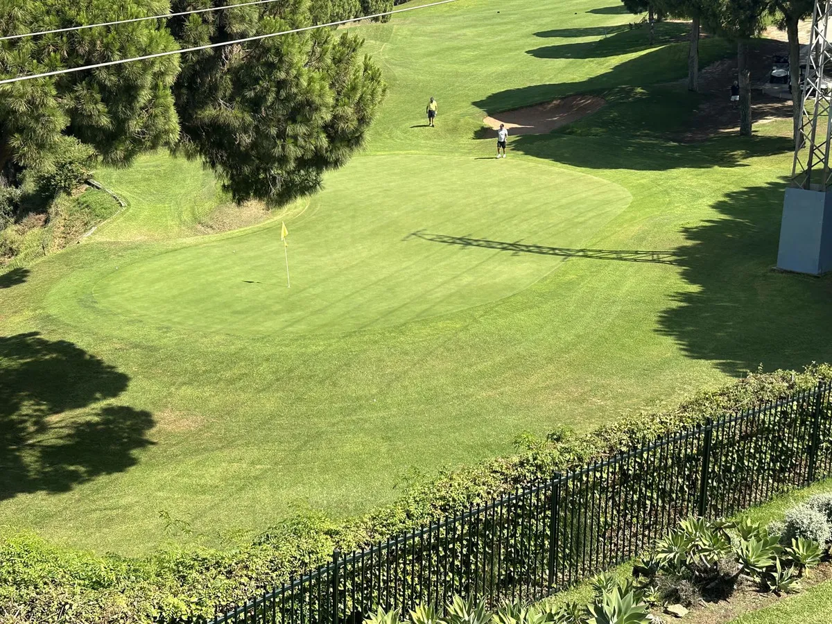 d56a866a-486b-42e3-afb3-b220b039e314