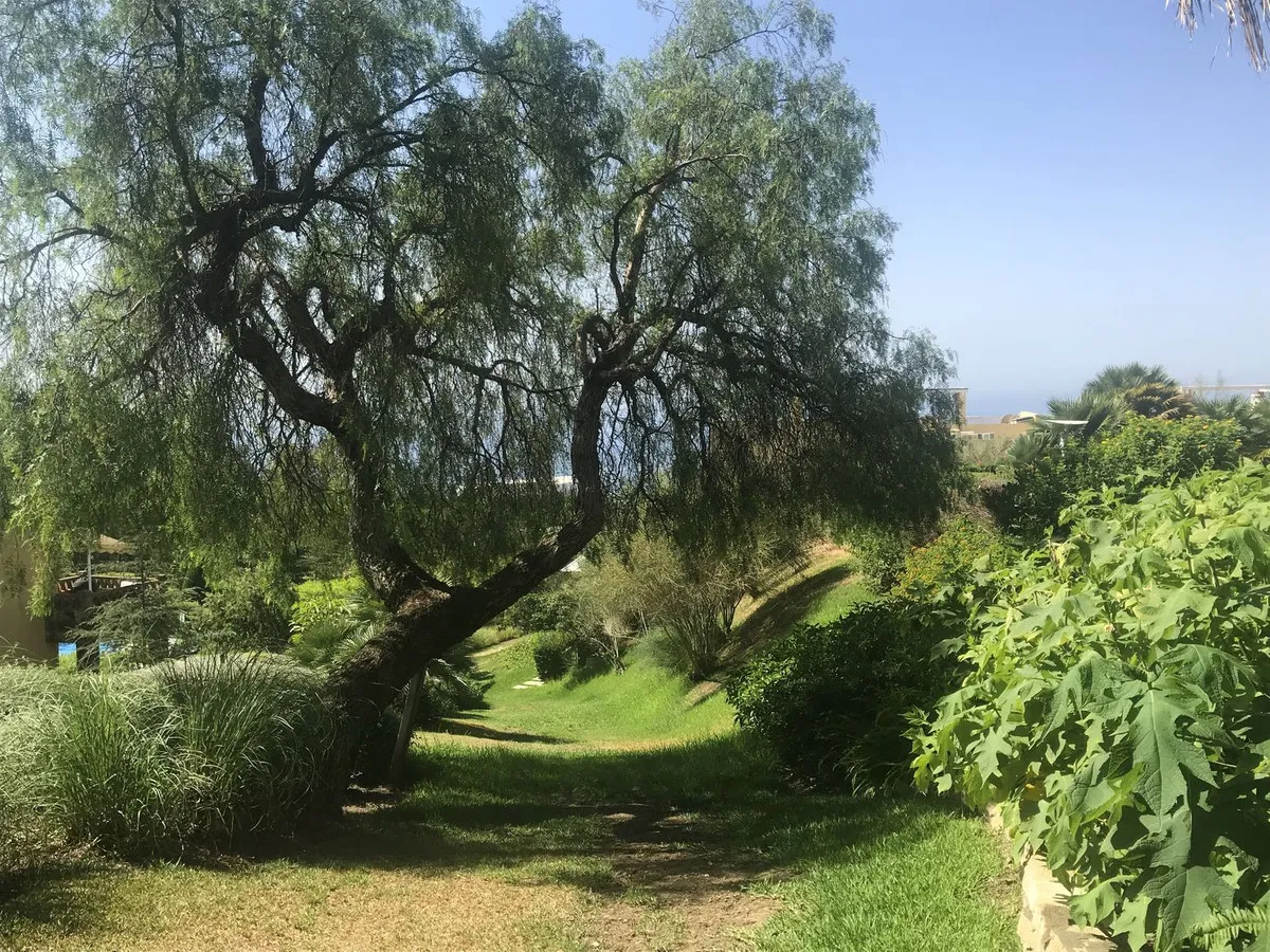 2e2cf97d-f3c8-4994-bb1a-293229f1f197