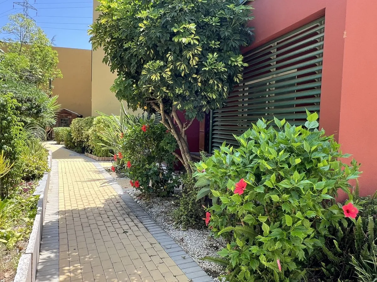 3a156753-0d4b-4efd-abce-11db479eeff3