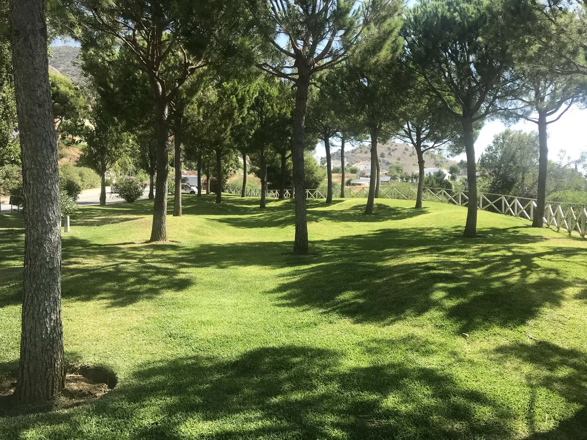 cfb35b74-d24b-4e87-a9a4-e2f23c2ecb4d