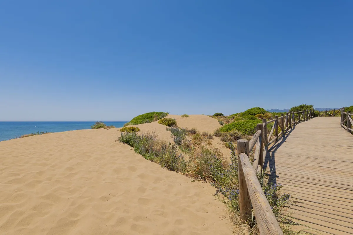 ad8565c5-3237-422b-9e49-74e421f6dbe2