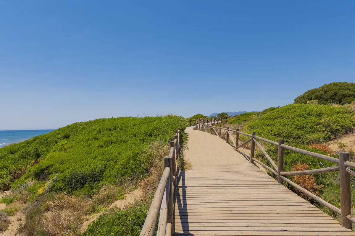 afb19d64-84dd-4b0f-b562-fa186e29111d