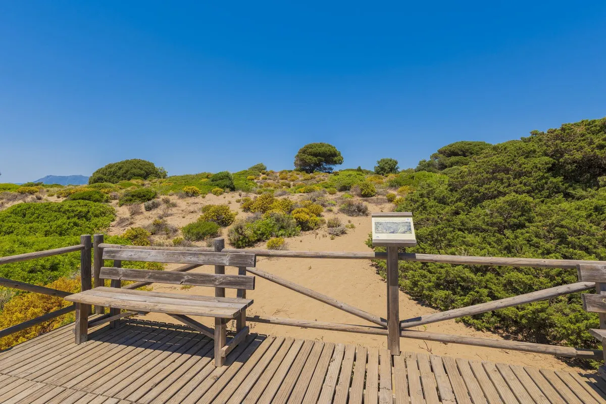 ea1f0922-50f0-4edd-b15e-166246d3446e