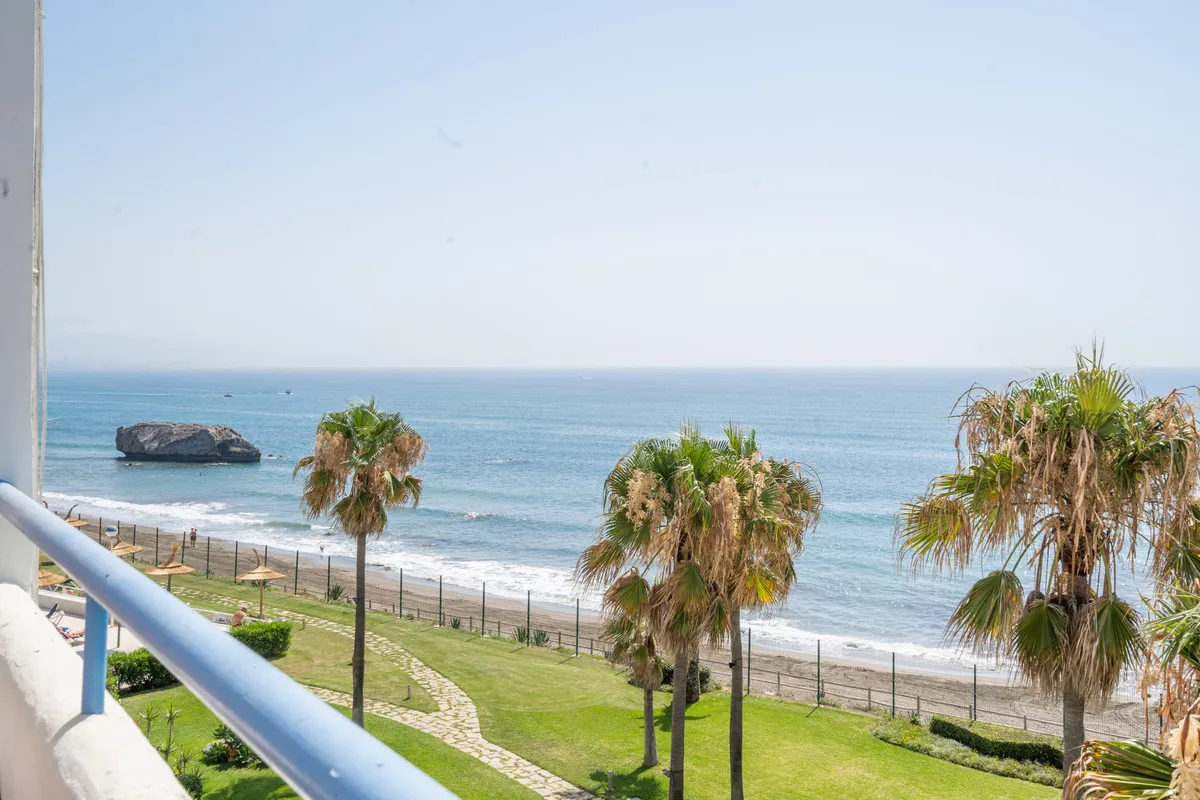 ebff8060-538f-4960-a299-345b77fad342