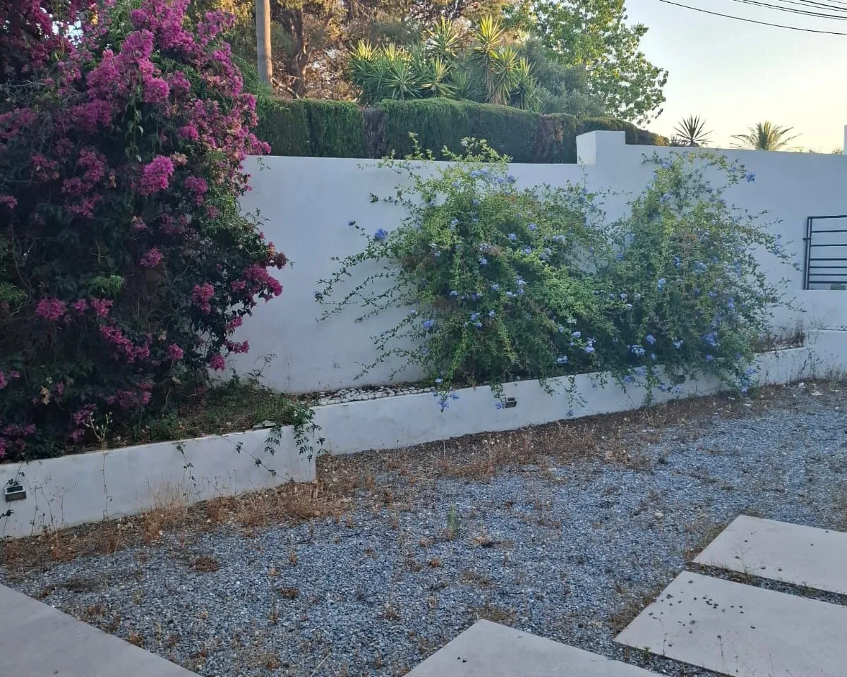 6ce31fa9-de01-44ee-a35d-4508d5007339