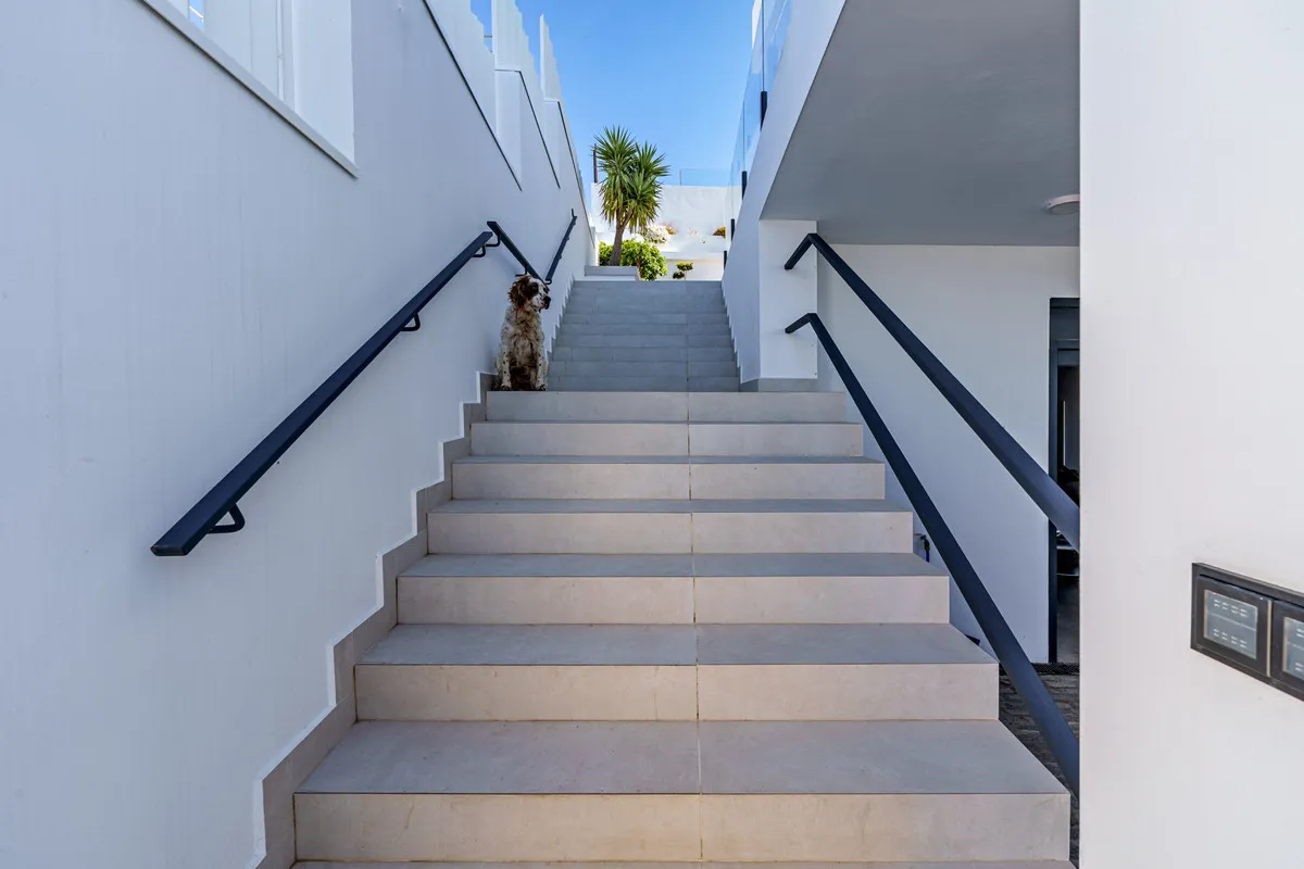 9a0591cb-a847-48c9-9e7b-40ec69660a76