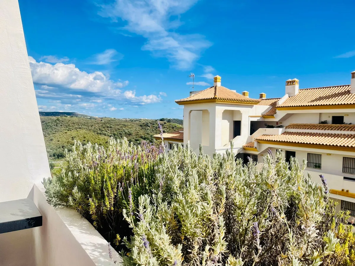 4e354113-2674-452f-a913-8a5633d631b3