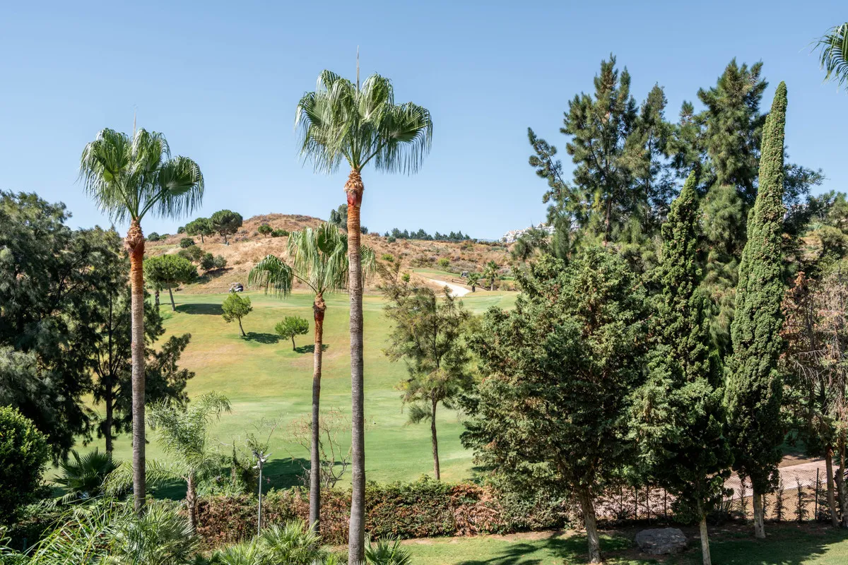 87c0b2c9-3685-4c0d-a874-32fad7f8911c