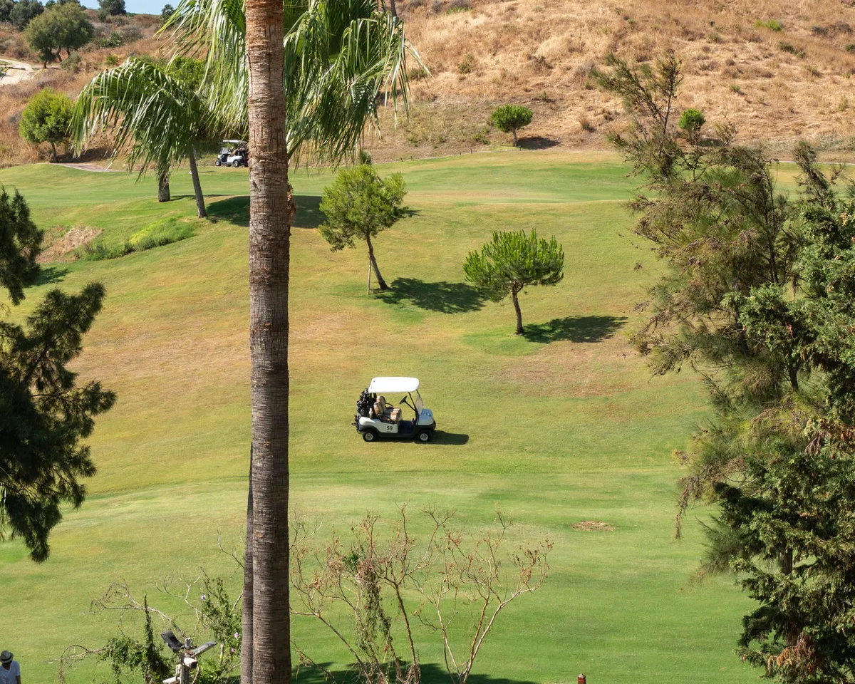 92feb3ec-dbd8-4a05-879f-5b2790a5062c