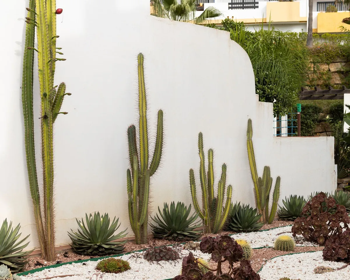 a4fe0b46-4682-4dd6-bab7-d2dbf9d07bca