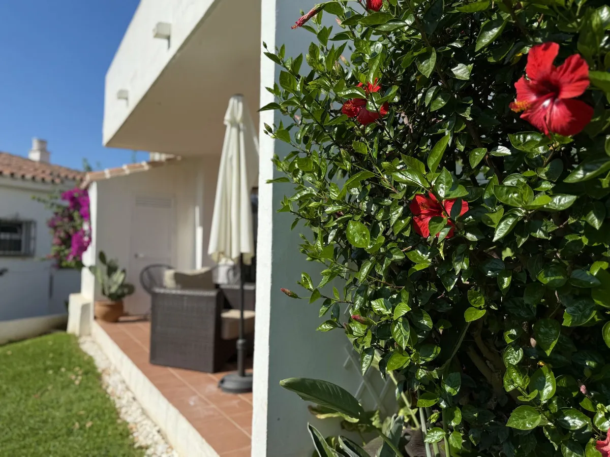 572acadd-90cf-427f-846e-75ecce03a467