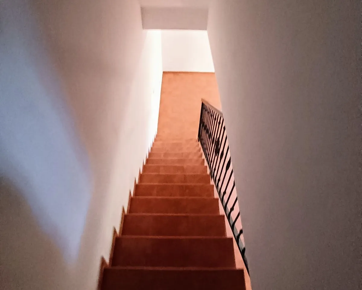 542c0425-0a88-4afb-a2c3-c0c5a3d1f011