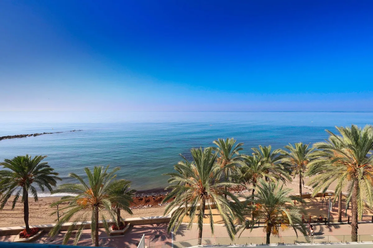 b20b0bdc-8fa4-4354-ae9c-11a3d3d0f6bb