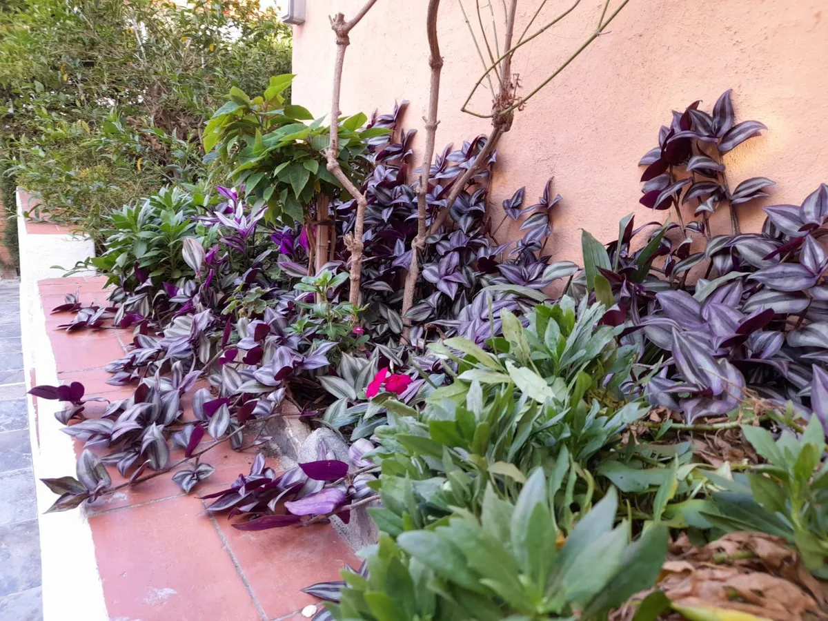 1d60ca4d-c10e-42bc-89e2-92826d03f8f0