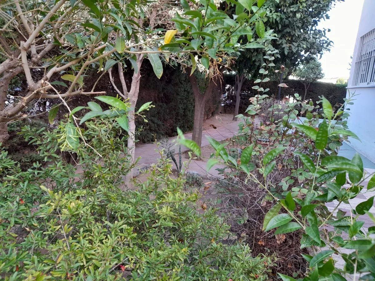 f23b96e4-fc06-45bf-87f5-47544e6f6df2