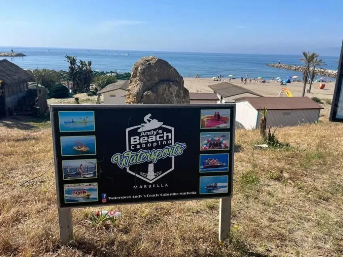 d6f5cd3a-b78d-43b1-8652-3353556ba86f