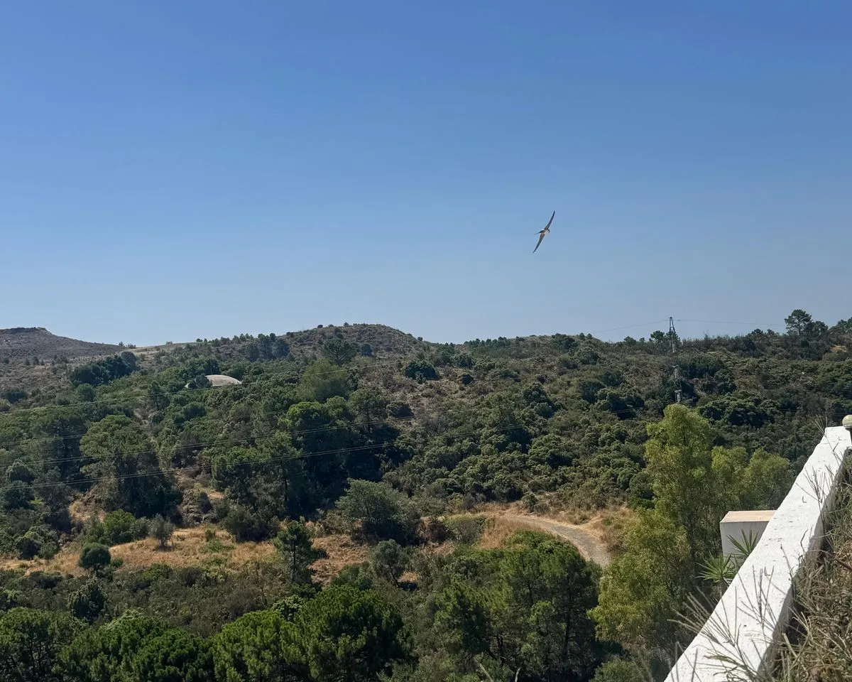 fdb743f0-1c9f-4b95-a5a9-c48f86b0a0b0