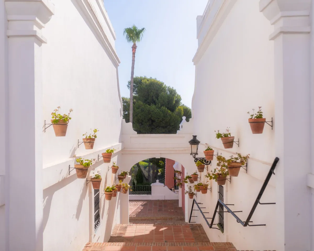 495b4c50-020e-4527-aefa-19bf8ae6030c