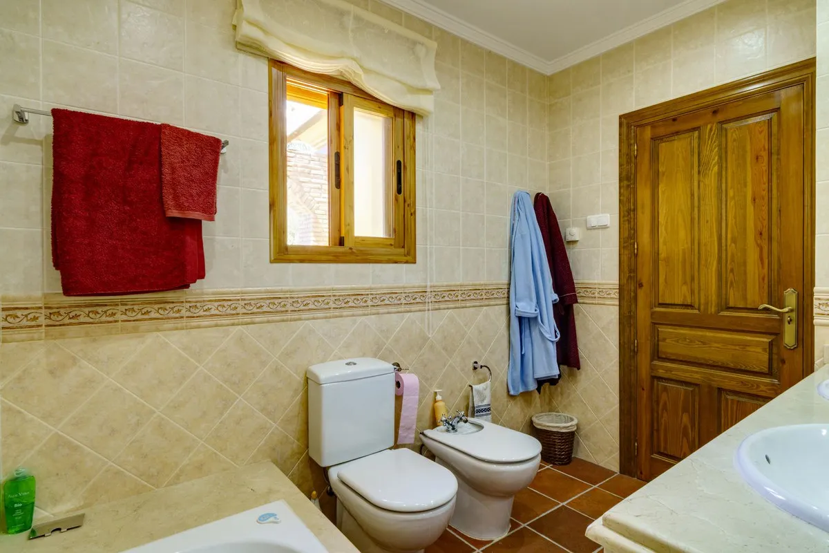 10587671-5324-4f7e-ac54-eaa59408e314