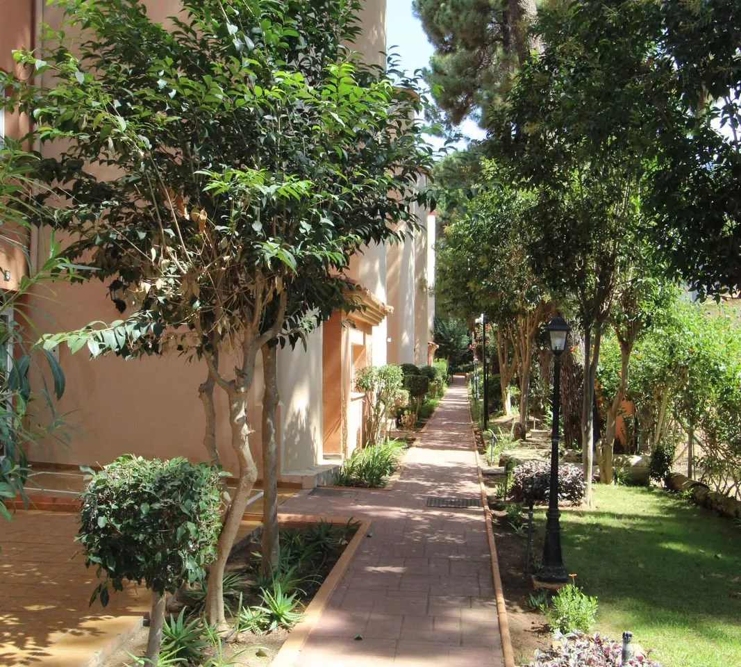 7e9b982d-a904-4d60-b0fc-1b401c149126