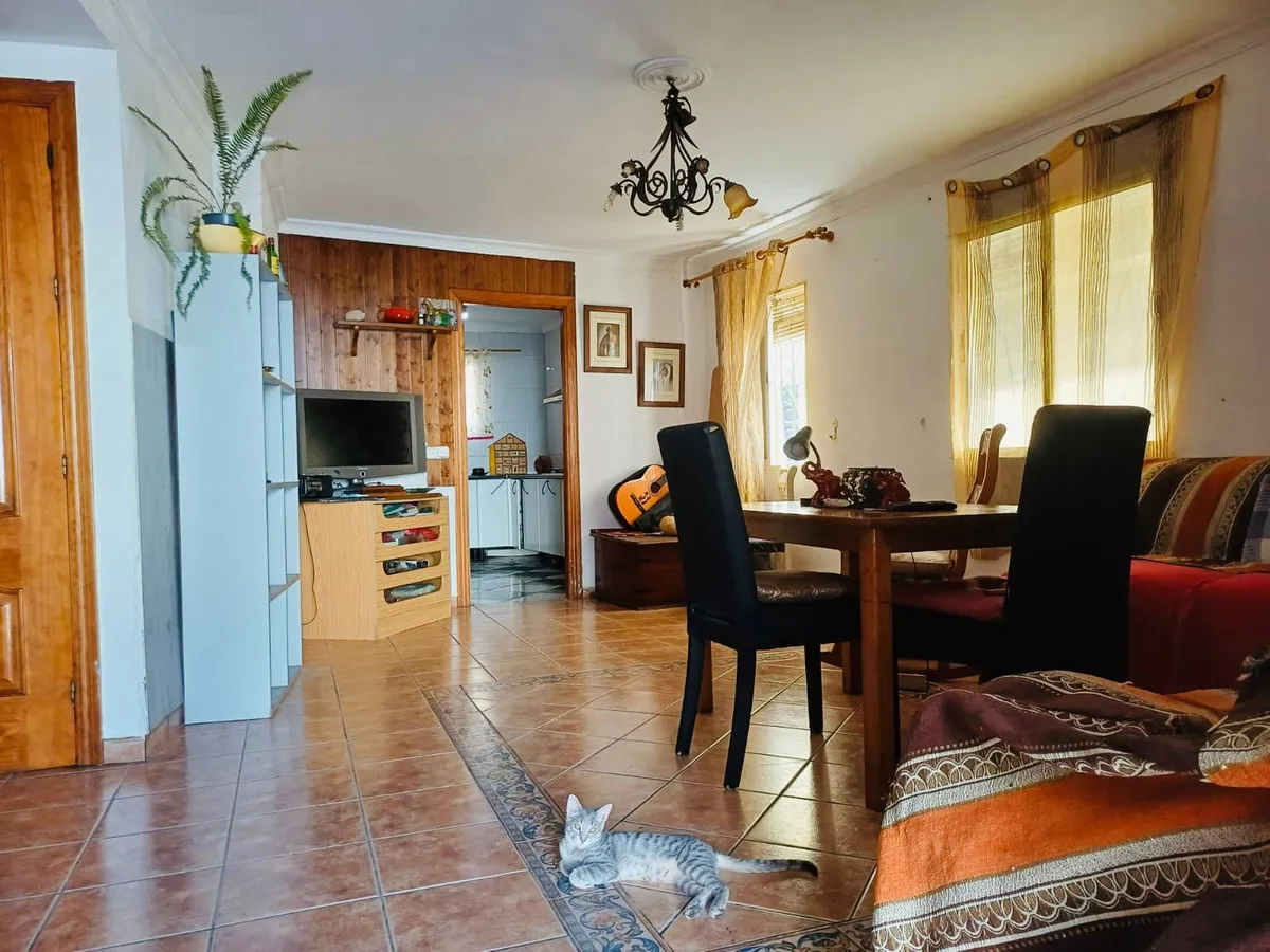 46d117a3-35df-449f-9a83-0314c762ffc3