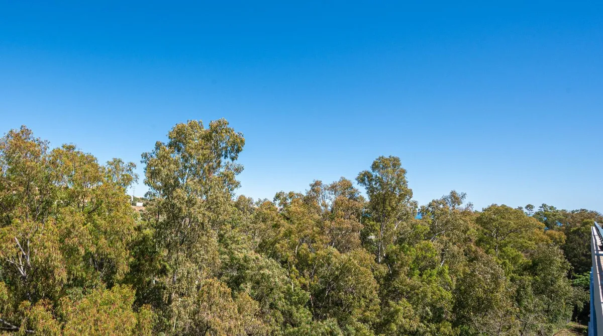 4bb2652a-2395-469e-8df8-fadf81d09f25