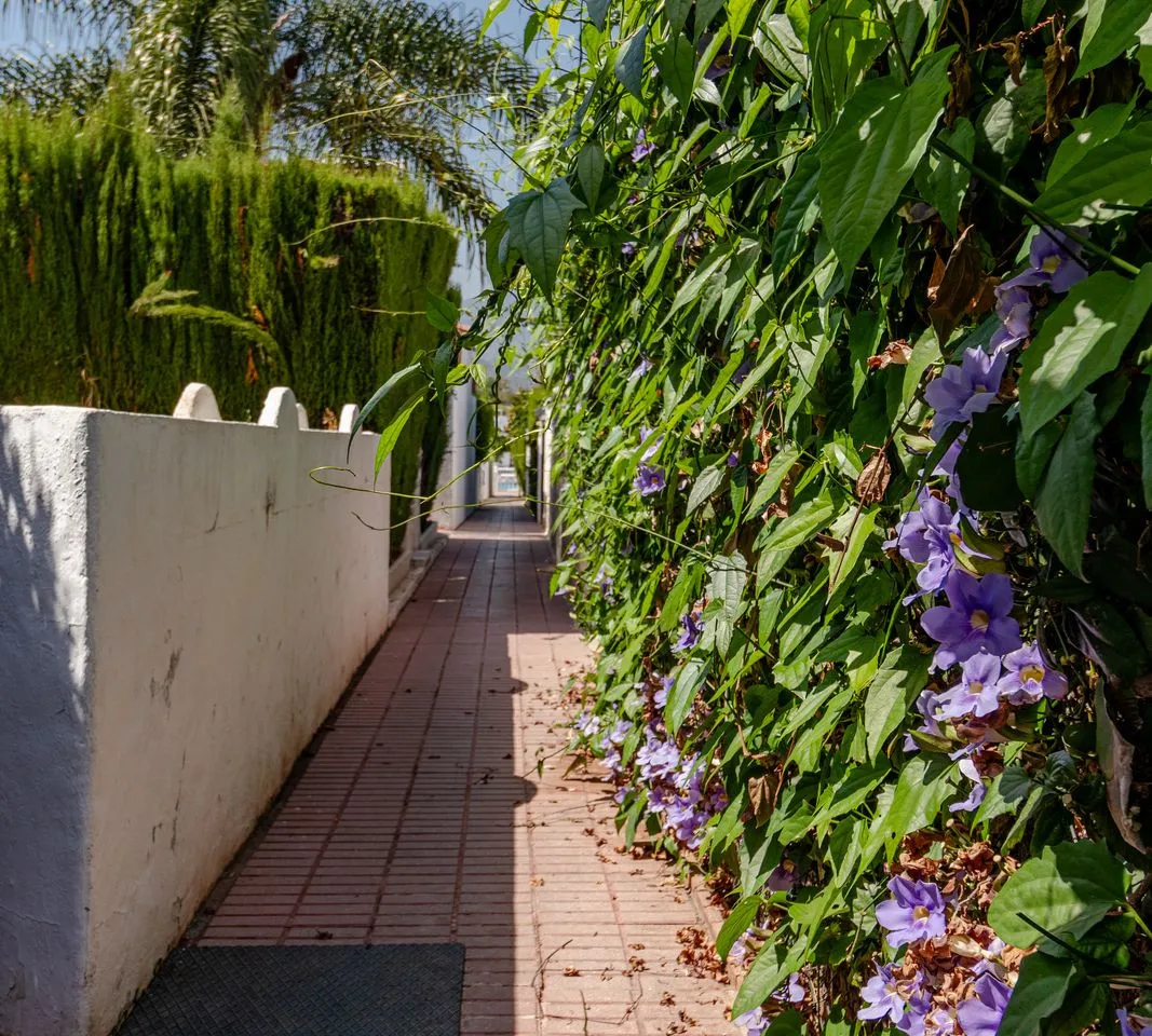 5bc7c6be-fb41-47b9-8116-8c9cada31766