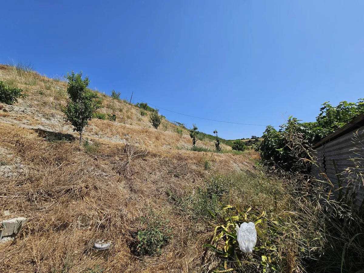 1128bb7c-8033-4ad1-b00f-163673d7b98d