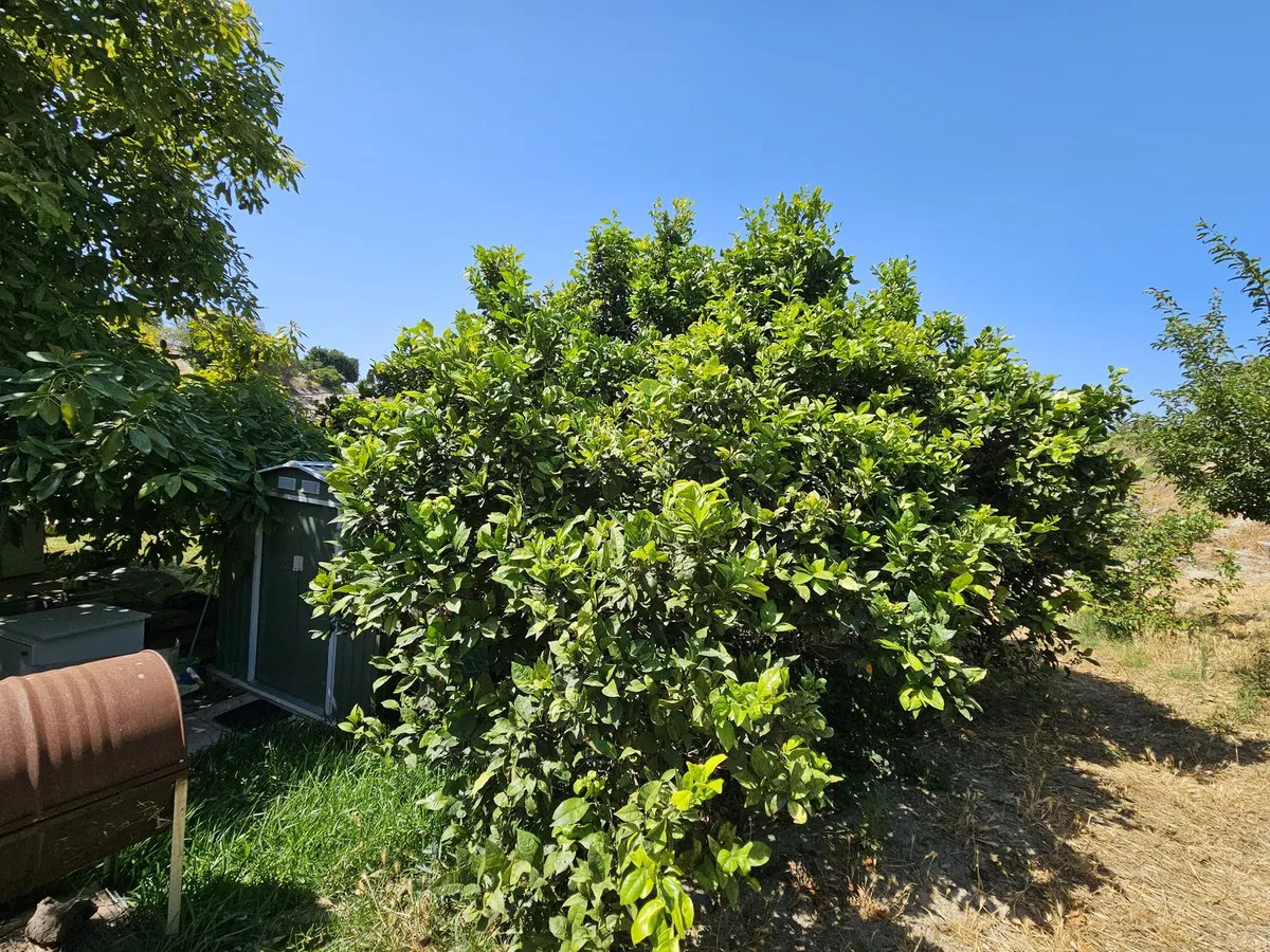 43d77bf5-40c2-47a7-a8cf-0dea0cb19104