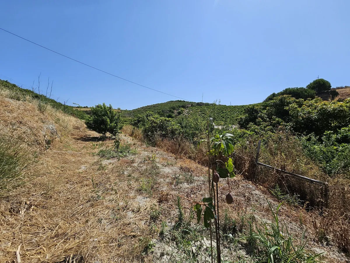 993df17a-b025-430f-9b91-29ba4ae5fa0c