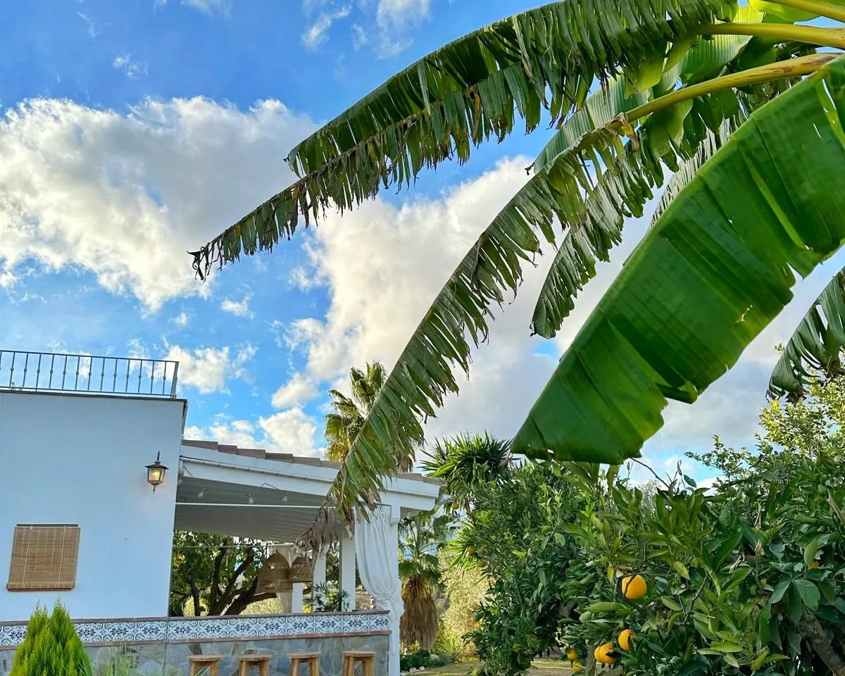 50958bdf-80a9-4000-b5db-cde7874eb9e9