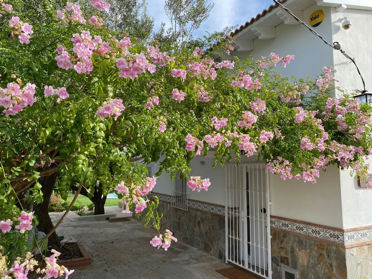 9949c3c3-75bc-4b98-922c-83ce99e452b8