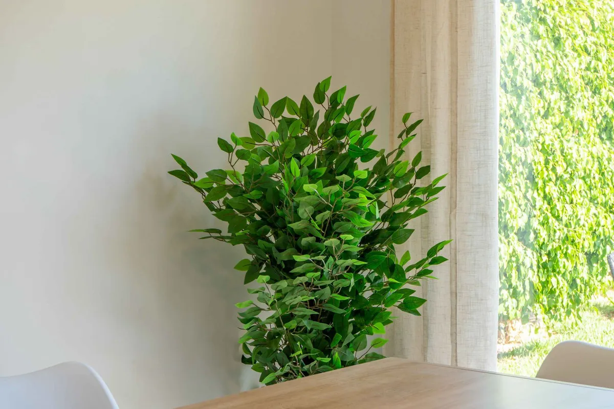 9cd560c1-1ec1-4a9b-9ea9-b713b84f5fc1