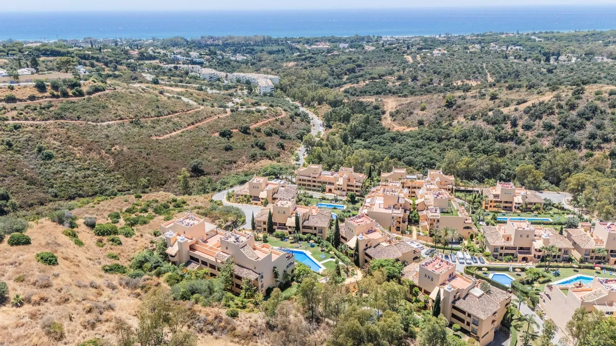 3b5e62cf-80c6-4ae1-83d4-77e590861924