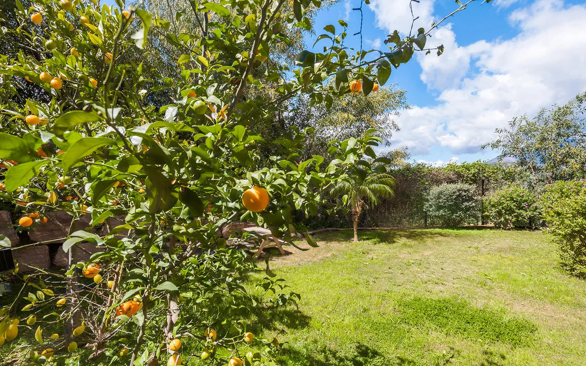 910c9b58-180a-44aa-a3cb-dd0f02a7410b