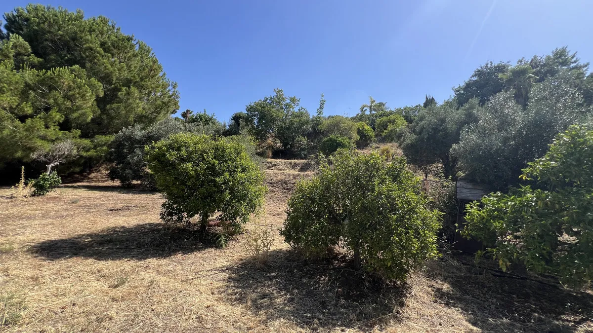 1d35e393-4090-4a02-9f1c-f9d62e77b6f4