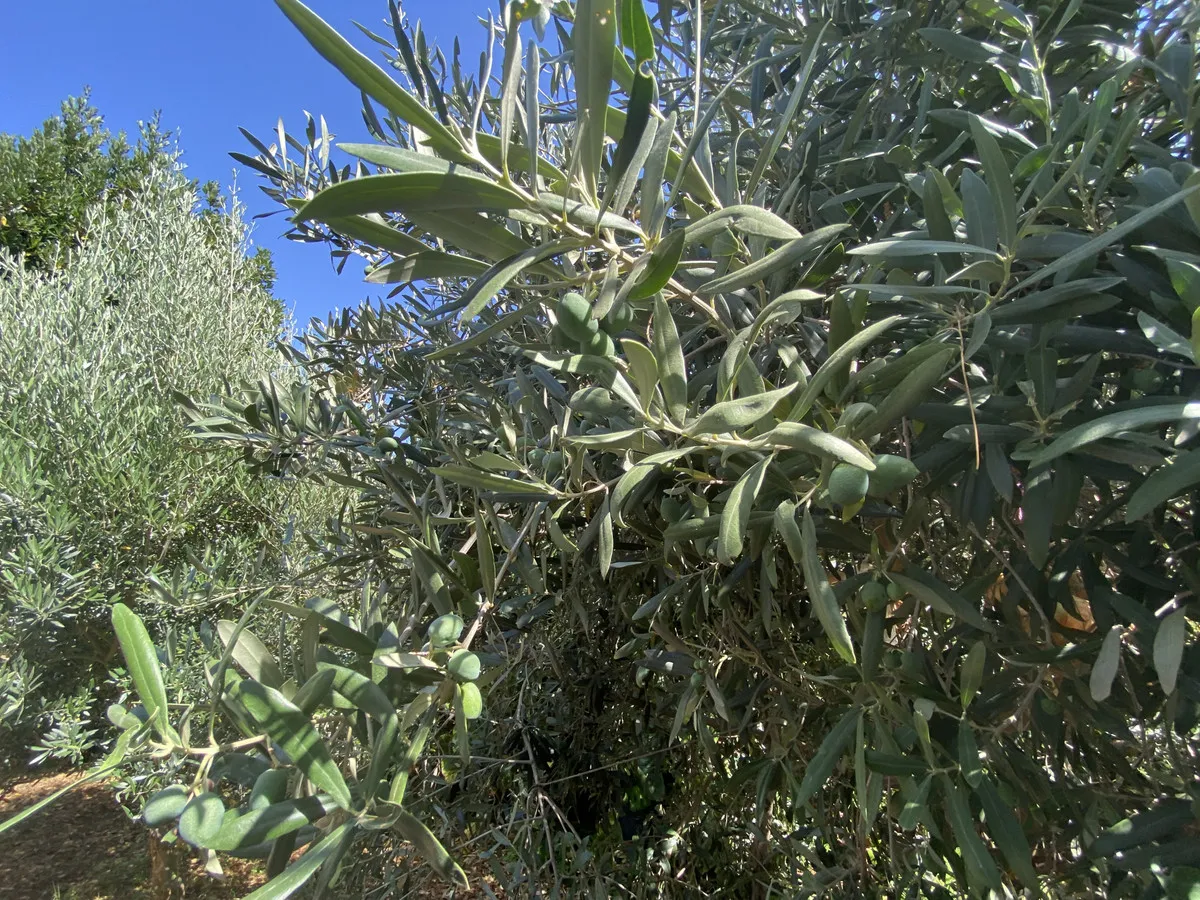 41354e2b-08c2-4c7c-b5a3-ddad15bb163d