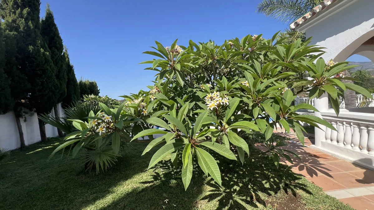 504d0b48-1f10-4bd5-beb8-a889c6edf1f8