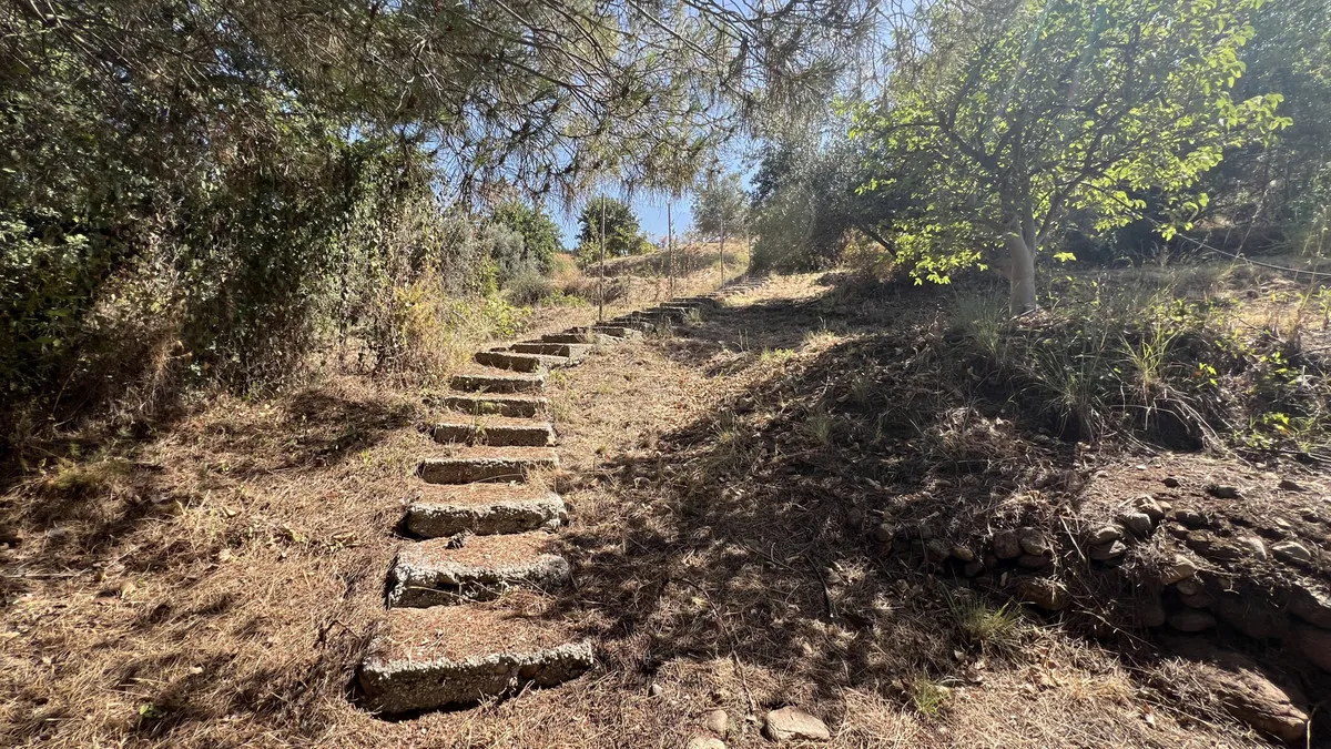 6bbf3cb0-d1be-4bb0-af15-09be9a8f2bc1