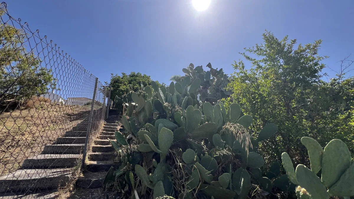 cdda47a1-785b-4c44-9e81-c5499d956669