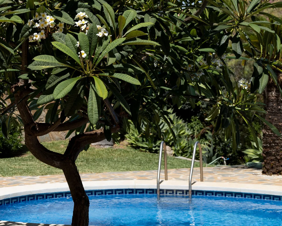 39924190-a899-4018-9f0e-2049867bd63f