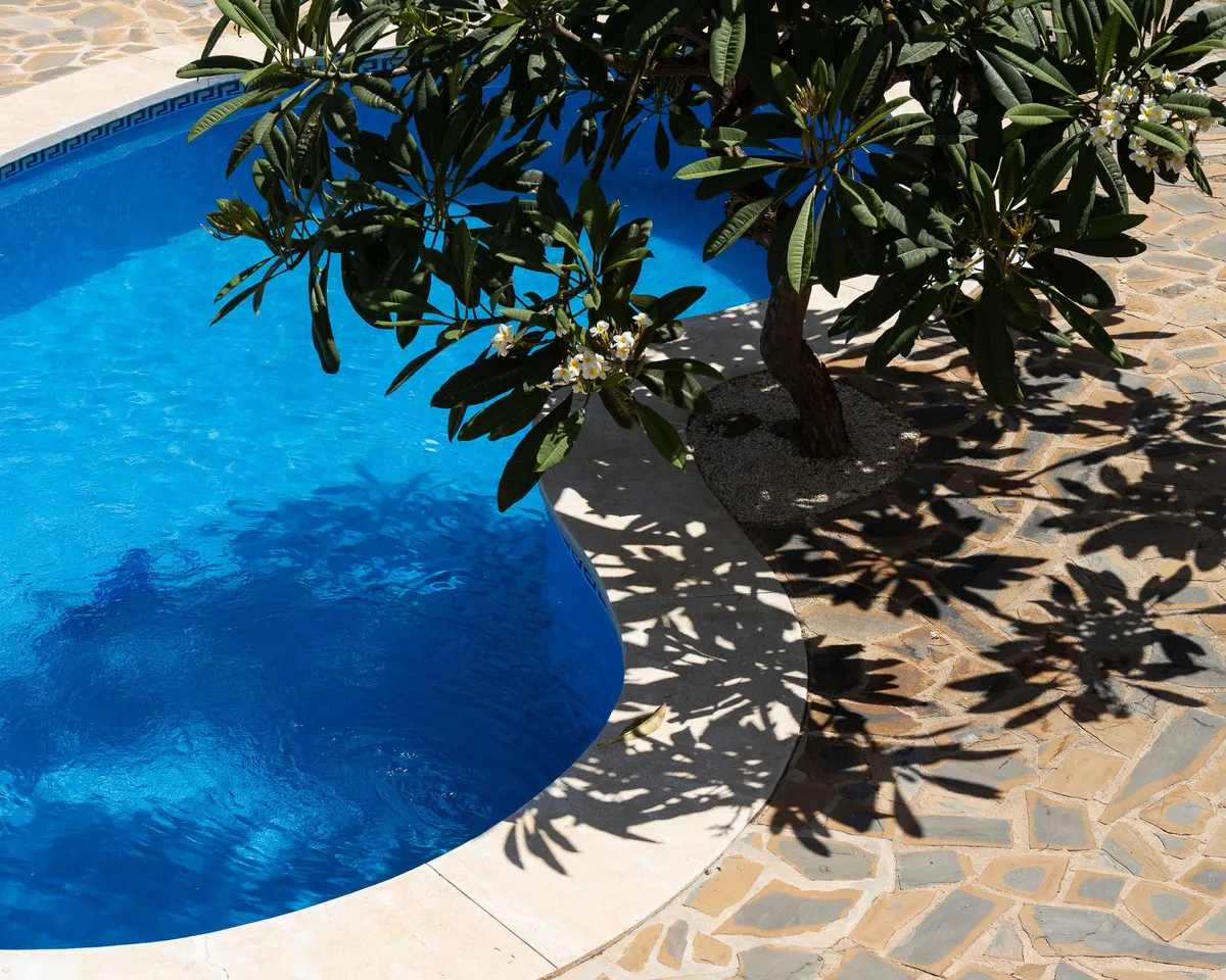 b6278a16-9997-4eda-87a4-b55331d99431